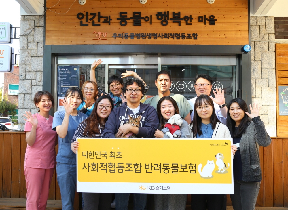 △사진=KB손해보험