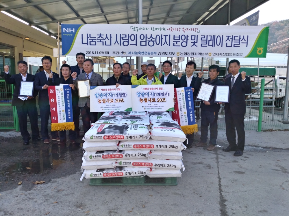 농협강원지역본부, 나눔축산 사랑의 암송아지 신규 분양