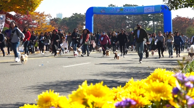 지난 4일 서울 상암월드컵경기장 평화의 광장에서 열린 JT왕왕레이스가 열렸다. / 사진 = J 트러스트 그룹