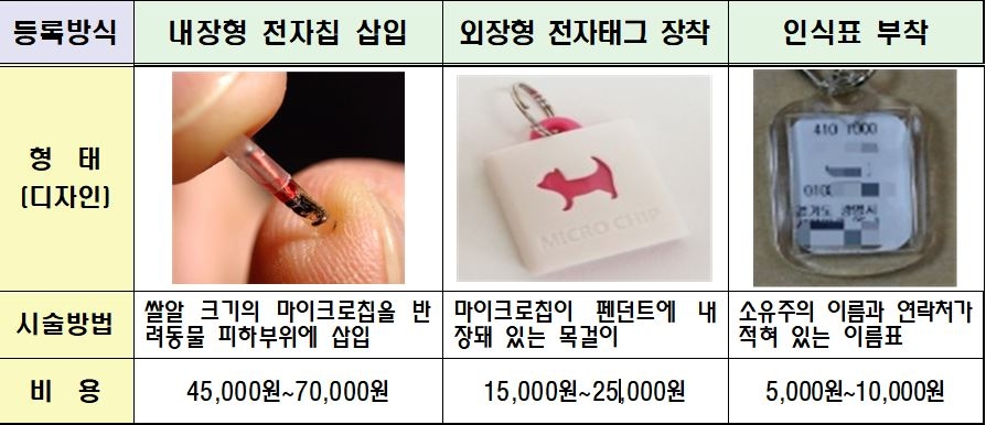 △동물등록용 마이크로칩 등록방식별 형태 / 자료=손해보험협회