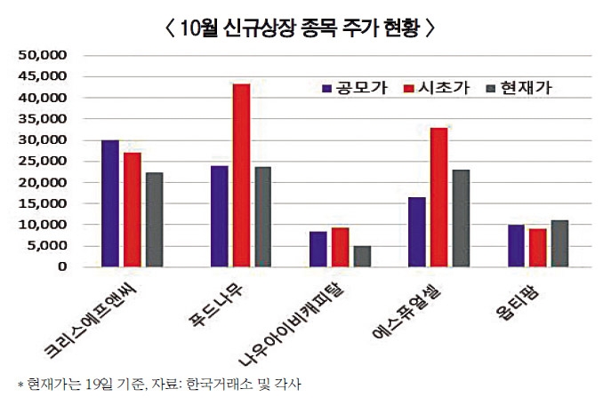 새내기주 타이밍 따라 희비 교차