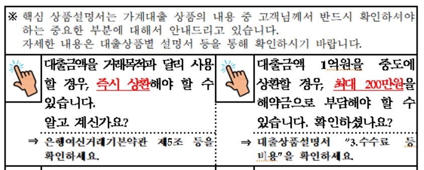 핵심상품설명서 예시./사진=금융감독원