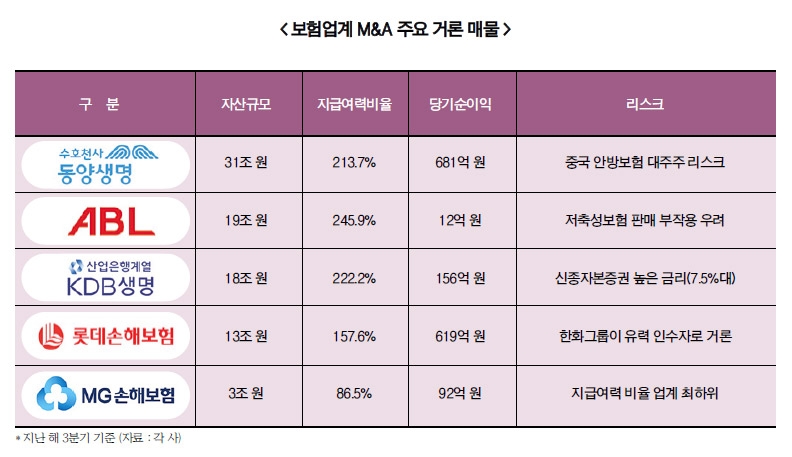 우리금융그룹 잠재적 보험사 대상 M&A 물밑 작업