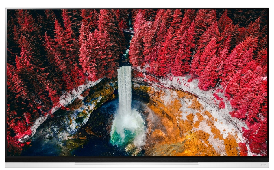 △2019년형 LG 올레드 TV 신제품/사진=LG전자