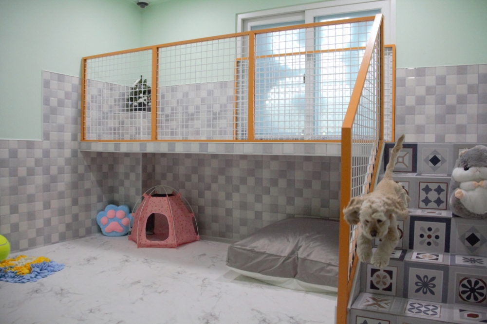 신세계면세점 "집사는 해외로, 반려견은 애견호텔로"