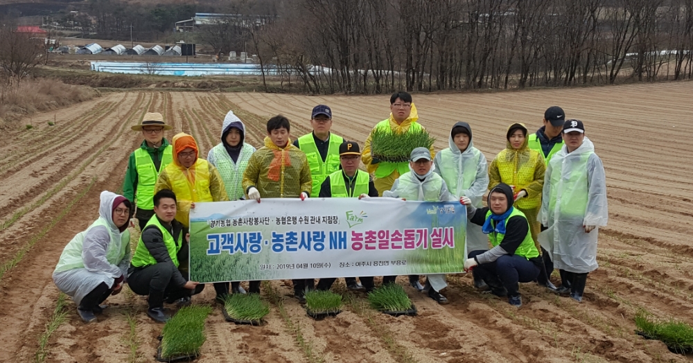 경기농협, 영농철 고객사랑 농촌일손돕기 실시