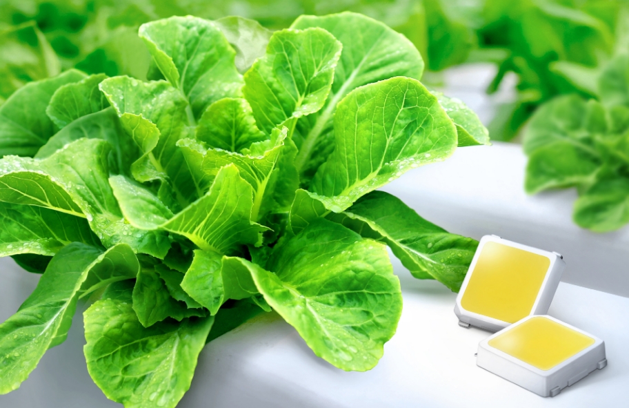 △삼성전자가 제시하는 식물 생장용 백색 LED 업계 최고 효율 달성 제품의 모습/사진=삼성전자
