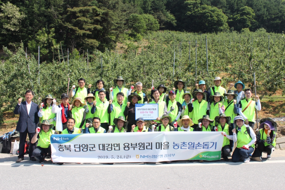 NH농협은행 이익중 상근감사위원(가운데줄 오른쪽에서 일곱번째)이 직원들과 일손돕기 후 사진촬영을 하고 있다./사진=농협은행