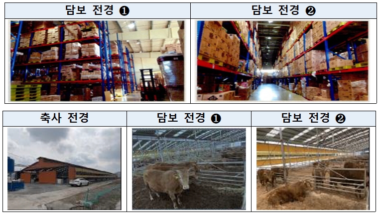 재고자산(장난감) 담보대출과 가축(한우) 담보관리 사례 / 자료= 금융위원회(2019.07.17)