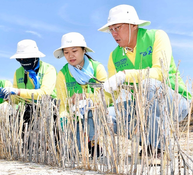 정의선 현대차그룹 수석부회장이 21일 중국 네이멍구 정란치 하기노르의 사막화방지 작업에 참여하고 있다. (사진=현대차그룹)