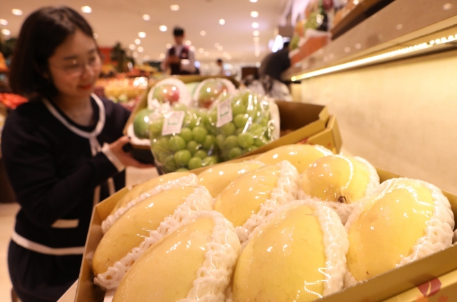 롯데백화점은 열대과일 선물세트 수량을 늘렸다. /사진=롯데쇼핑.