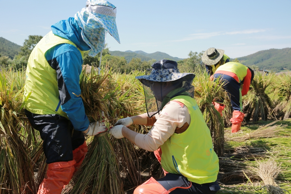 △사진=NH농협생명