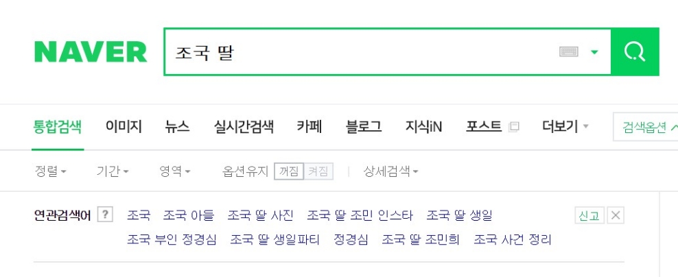 △네이버 포털 사이트에서 조국 딸을 검색하면 등장하는 연관 검색어/사진=오승혁 기자