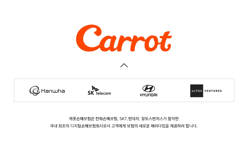 △캐롯손해보험 CI