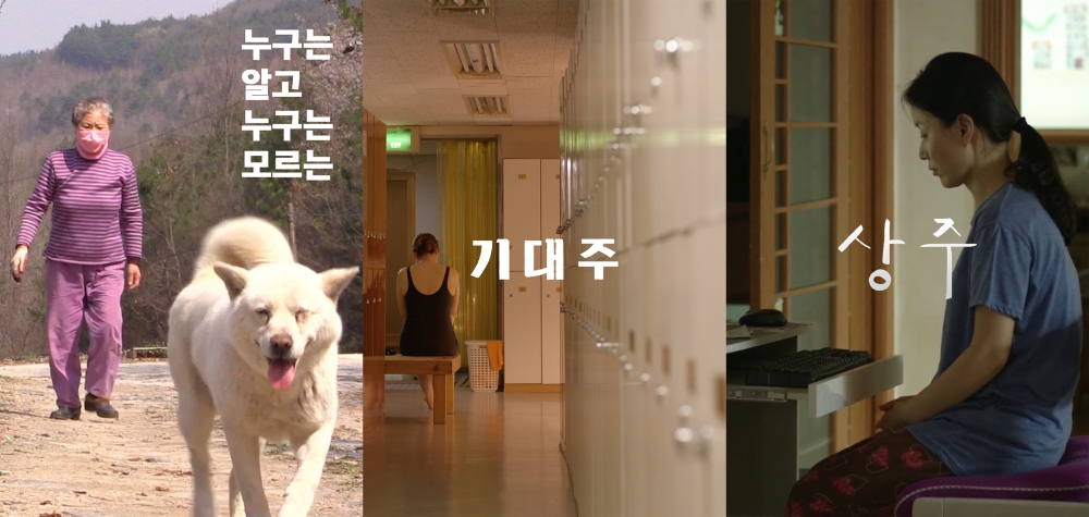 △할머니를 따라간 한글학교에서 생긴 고민으로 시작한 영화 '누구는 알고 누구는 모르는'(좌측), 제12회 서울노인영화제 대상 수상작 '기대주'(가운데), 중년 여성 삶의 전환점을 그리는 영화 '상주'의 포스터/사진=오승혁 기자(자료 편집)