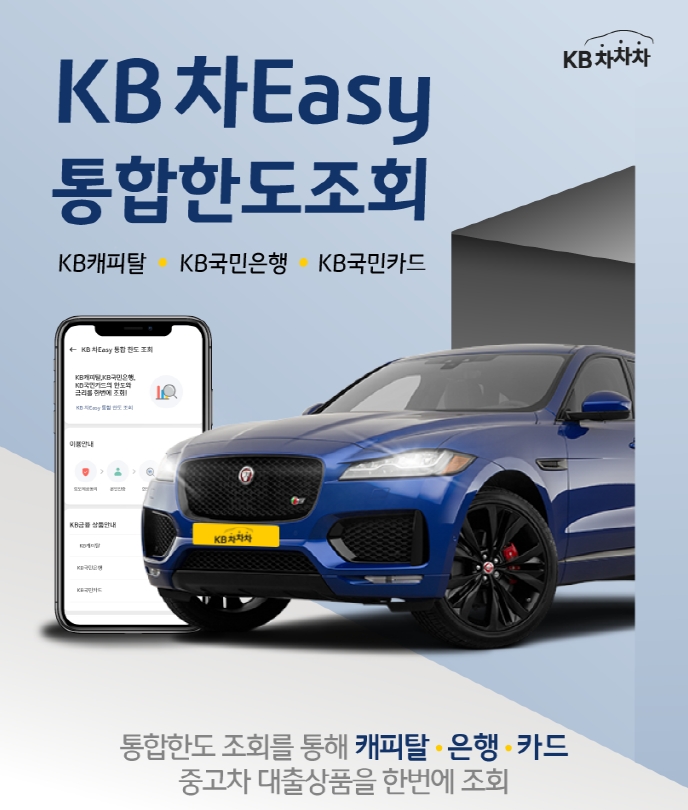 KB 차 Easy 통합한도조회 / 사진= KB국민은행