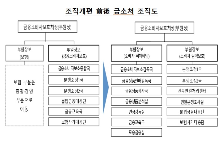 금융소비자보호처 개편 전후./사진=금융감독원