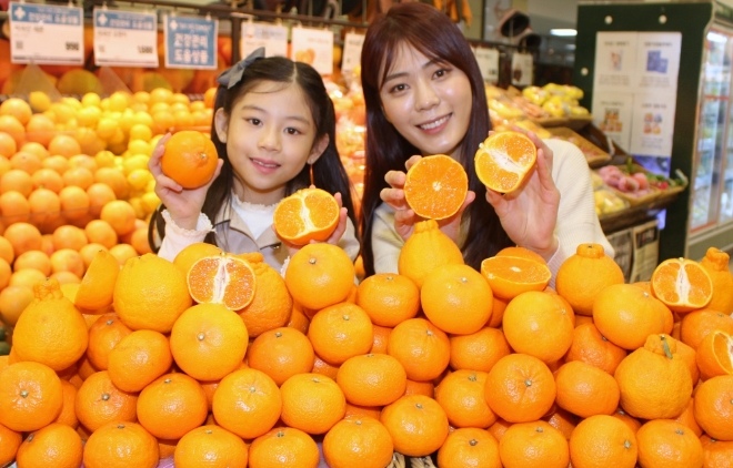 롯데마트는 최근 고객들에게 만감이 인기를 끌고 있는 것을 반영해 전 점포에서 껍질이 벗기기 쉽고 과즙이 풍부한 만감류인 ‘탐라향’을 할인된 가격에 선보인다. /사진=롯데그룹.