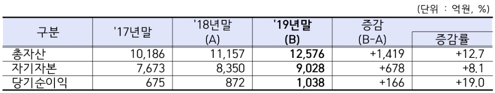 △ 2019년 신용정보회사의 영업 현황. /자료=금감원