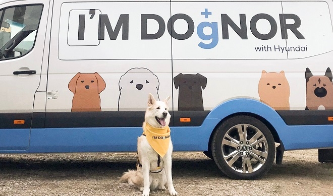 현대차, 애견 헌혈 모집…5~10월 대형견 대상