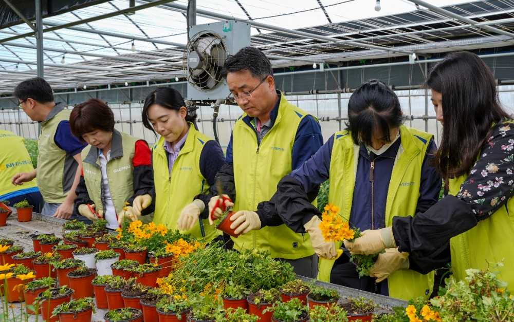 △ 김인태 NH농협금융 경영기획부문장(오른쪽 세 번째)과 임직원들이 화분 꽃 심기 작업을 하고 있다. /사진=NH농협금융