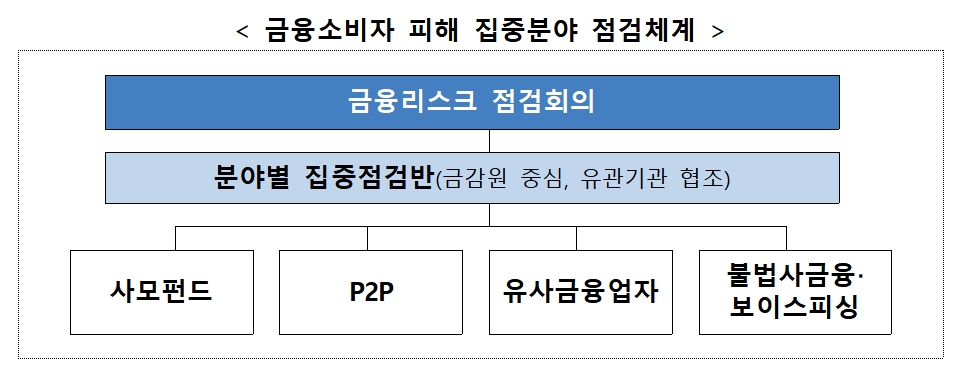 금융소비자 피해 집중분야 점검체계 / 자료= 금융위원회(2020.07.02)