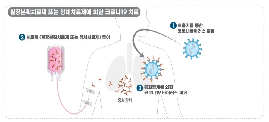 자료=식품의약품안전처