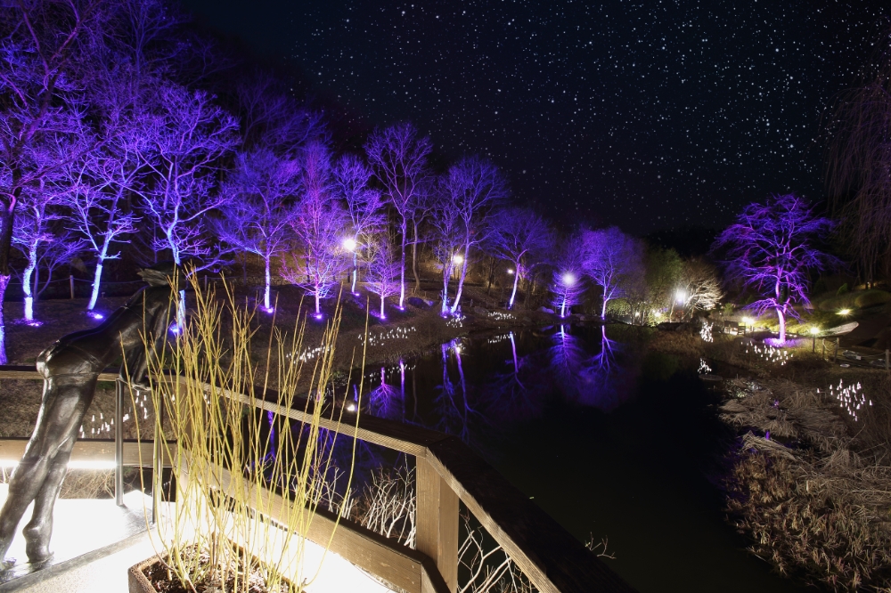 제이드가든의 야간개장 모습/사진=한화호텔앤드리조트