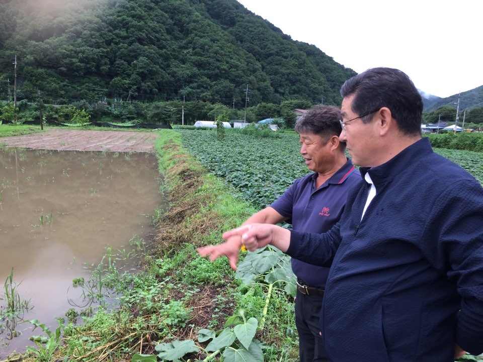 장마 피해를 본 농가 사진./사진=강원지역 농협