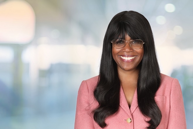 현대차 미국법인, 올라비시 보일 부사장으로 영입...비자 카드 출신