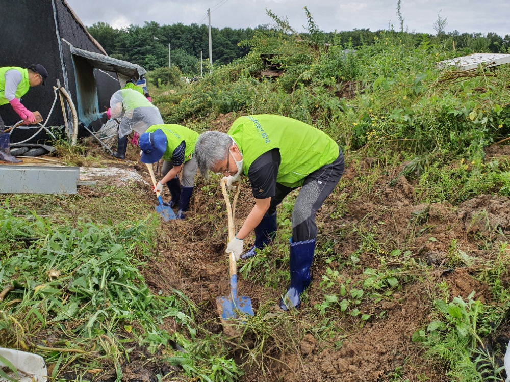 농협경제지주, 집중호우 피해농가 위한 구호물품 지원 및 일손돕기 실시