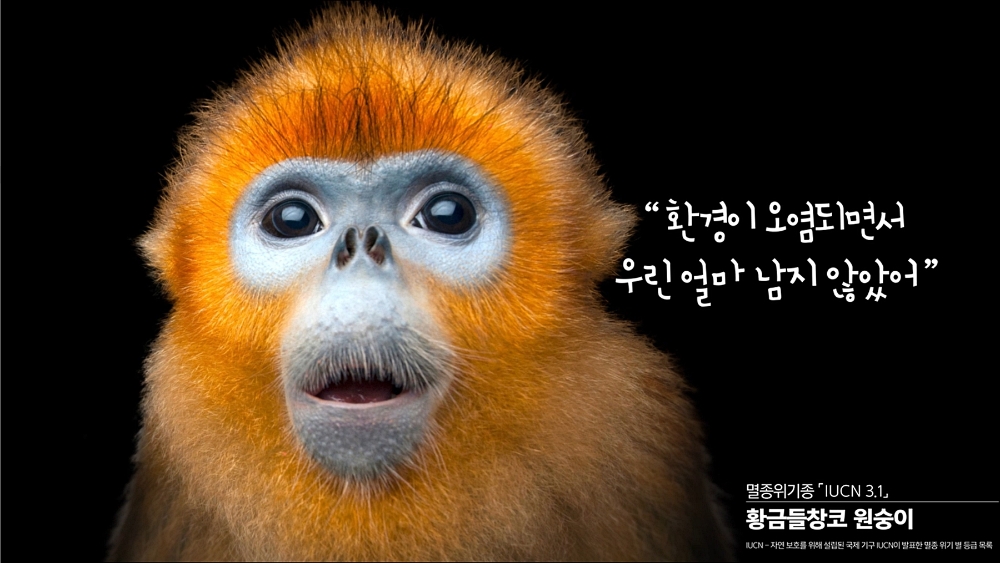 멸종 위기 동물보호를 위해 제작한 VR, AR 콘텐츠 '멸종동물 공원'./사진=LG유플러스