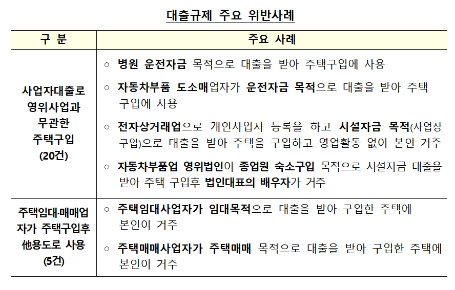 대출규제 주요 위반사례 / 자료제공= 금융감독원 등 관계기관 합동 발표(2021.01.18)