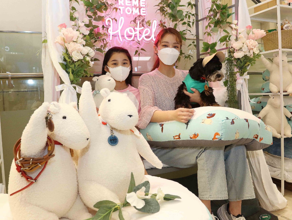 친환경 반려동물방석. / 사진제공 = 신세계백화점