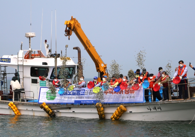 현대오일뱅크는 최근 충남 서산시 대산공장 인근 삼길포항, 난지도, 가로림만 해상에 새끼 우럭과 광어 25만 마리를 방류했다. 사진=현대오일뱅크.