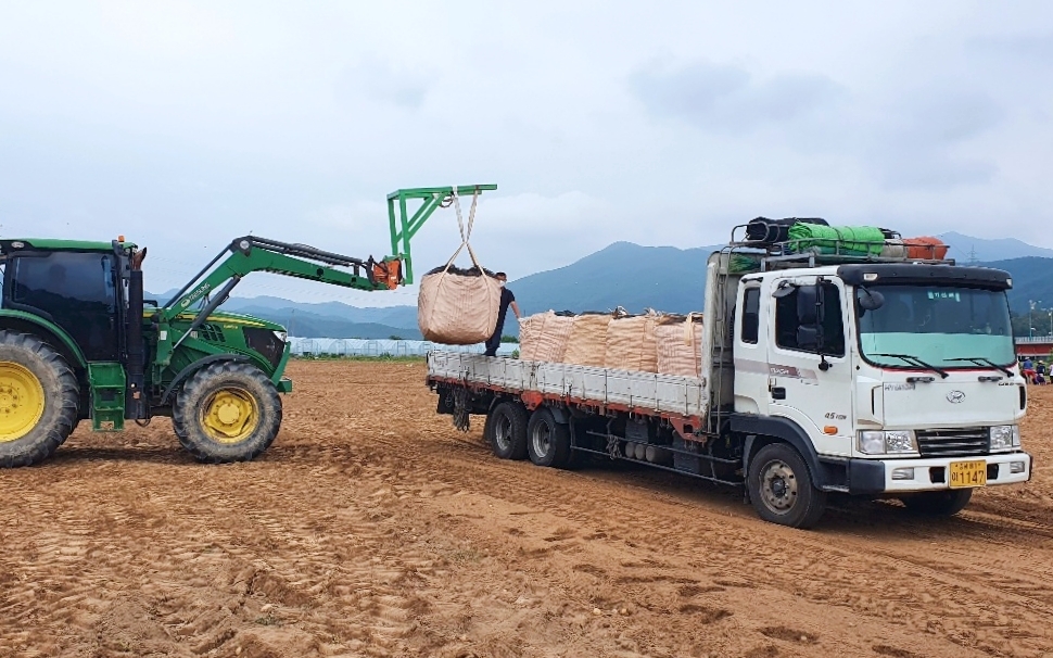 청년수미 감자농가. / 사진제공 = 농심