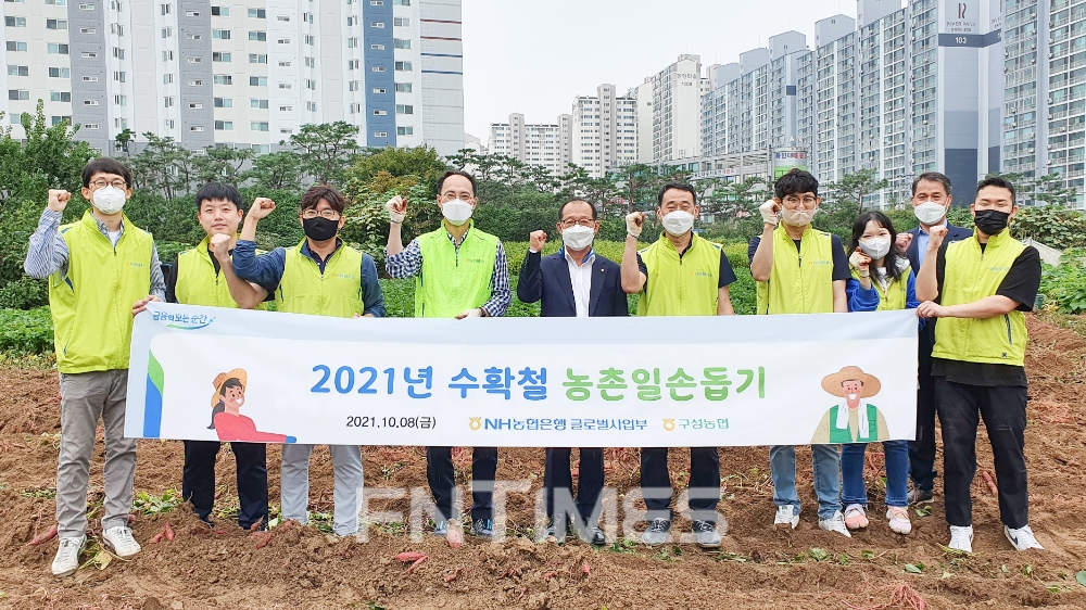 (왼쪽에서 네 번째부터) 김용기 NH농협은행 글로벌사업부장과 김영석 구성농협 상임이사 및 글로벌사업부 직원들이 경기도 용인 기흥구 보정동에 있는 소실마을의 고구마 재배농가를 방문해 일손 돕기를 실시한 뒤 기념촬영하고 있다./사진=NH농협은행