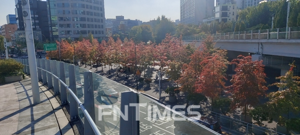 서울로7017 만리동광장 전경 / 사진=장호성 기자