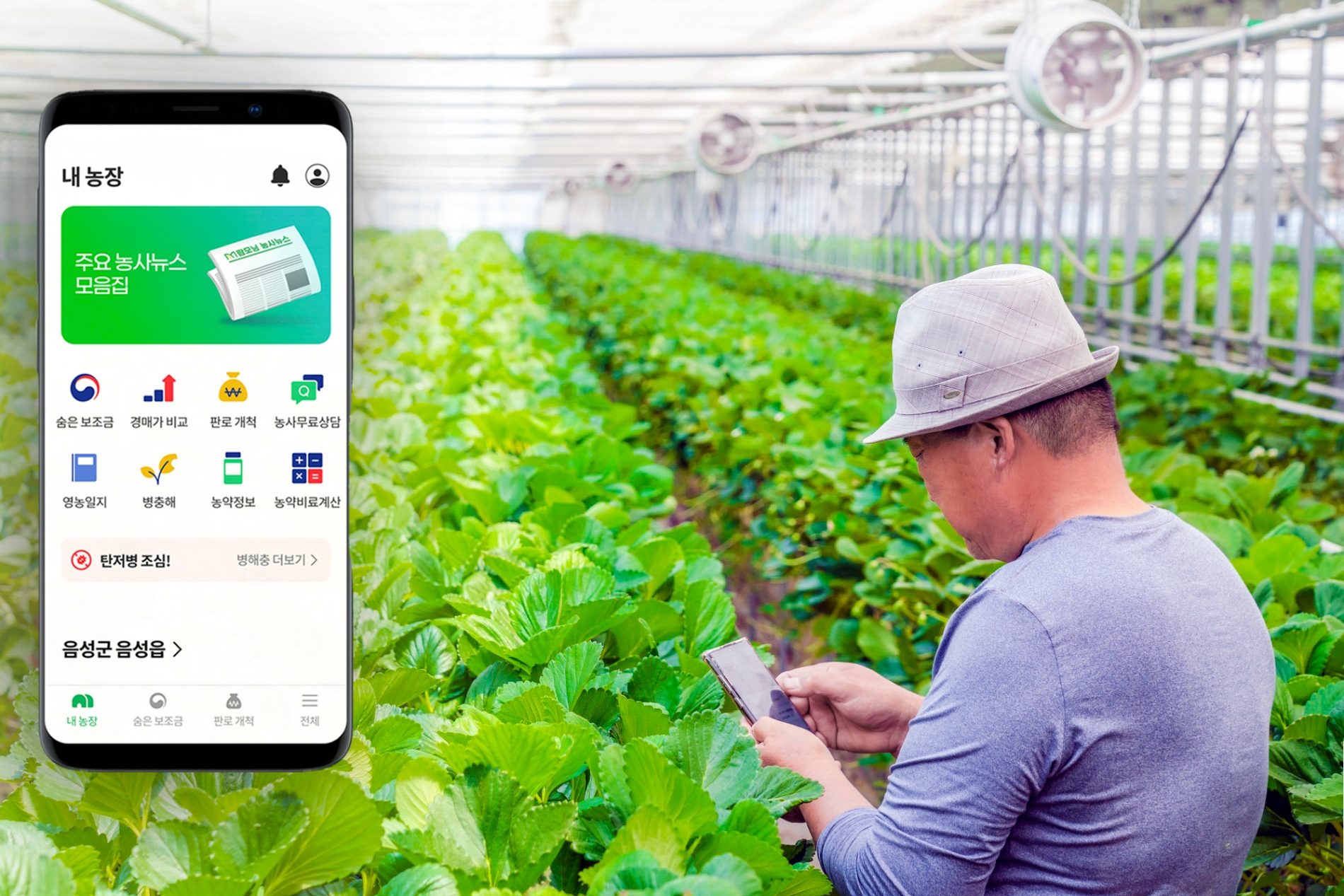 농민이 그린랩스의 원스톱 서비스 ‘팜모닝(Farm Morning)’ 앱을 이용해 작황을 점검하고 있다. 사진=SK스퀘어