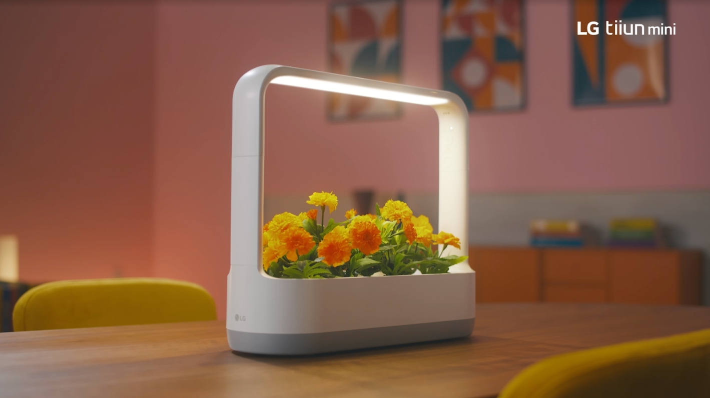 LG 틔운 미니 광고영상 속 장면. 사진=LG전자