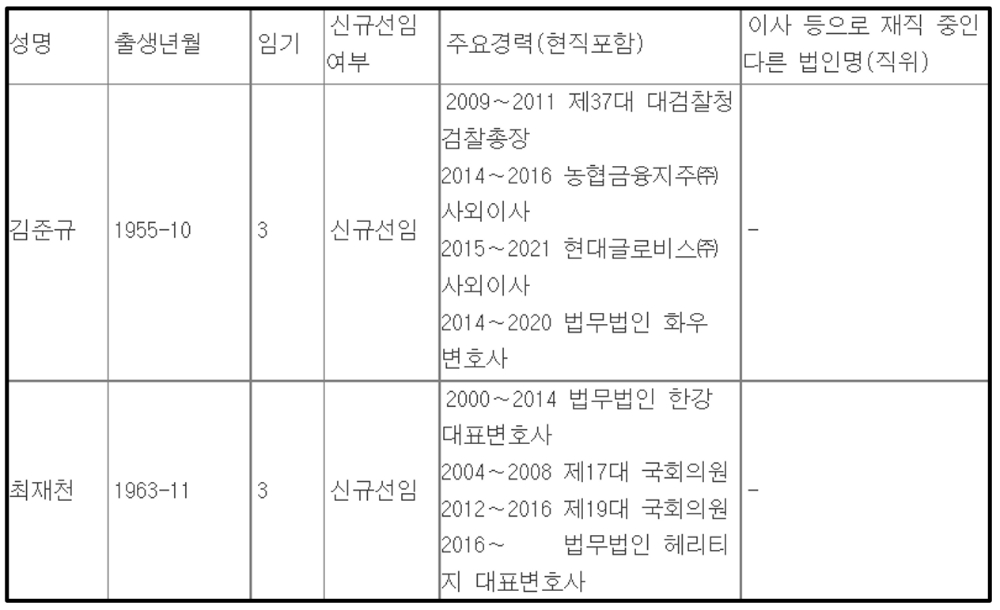 사외이사 선임 세부 내역. /자료제공=금융감독원 전자공시시스템