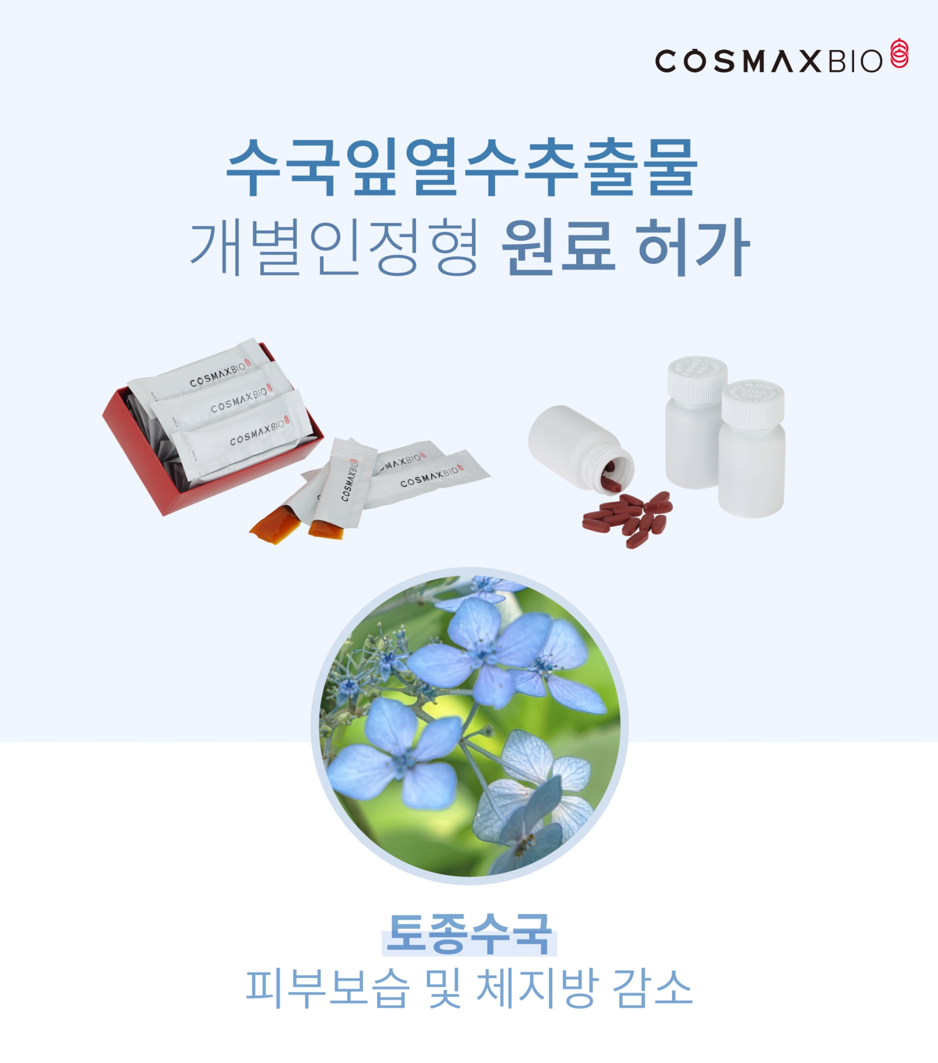 코스맥스바이오(대표이사 박정욱)는 최근 식품의약품안전처(이하 식약처)로부터 '수국잎열수(熱水)추출물'에 대한 개별인정형 원료 허가를 받았다./사진제공=코스맥스그룹
