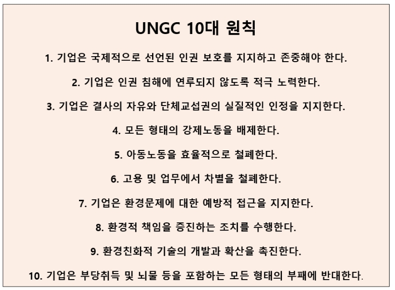 UNGC 10대 원칙. /그래픽=신혜주 기자