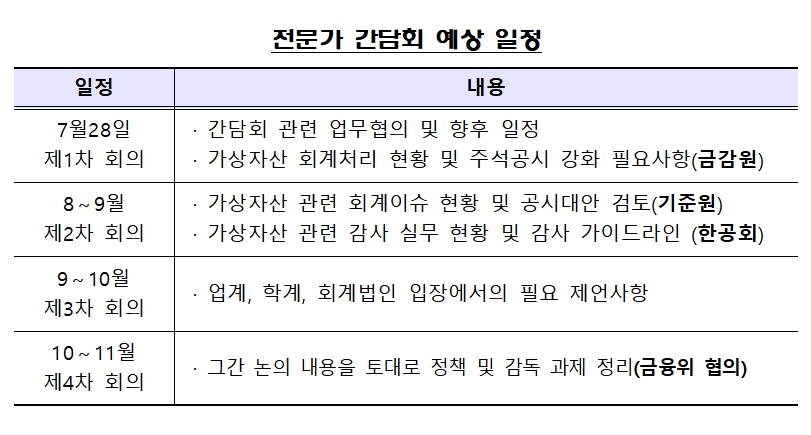 가상자산 회계이슈 전문가 간담회 일정 / 자료제공= 금융감독원(2022.07.27)