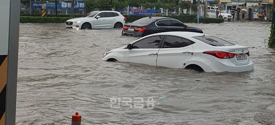 8일 폭우로 침수된 자동차./사진=독자 제공