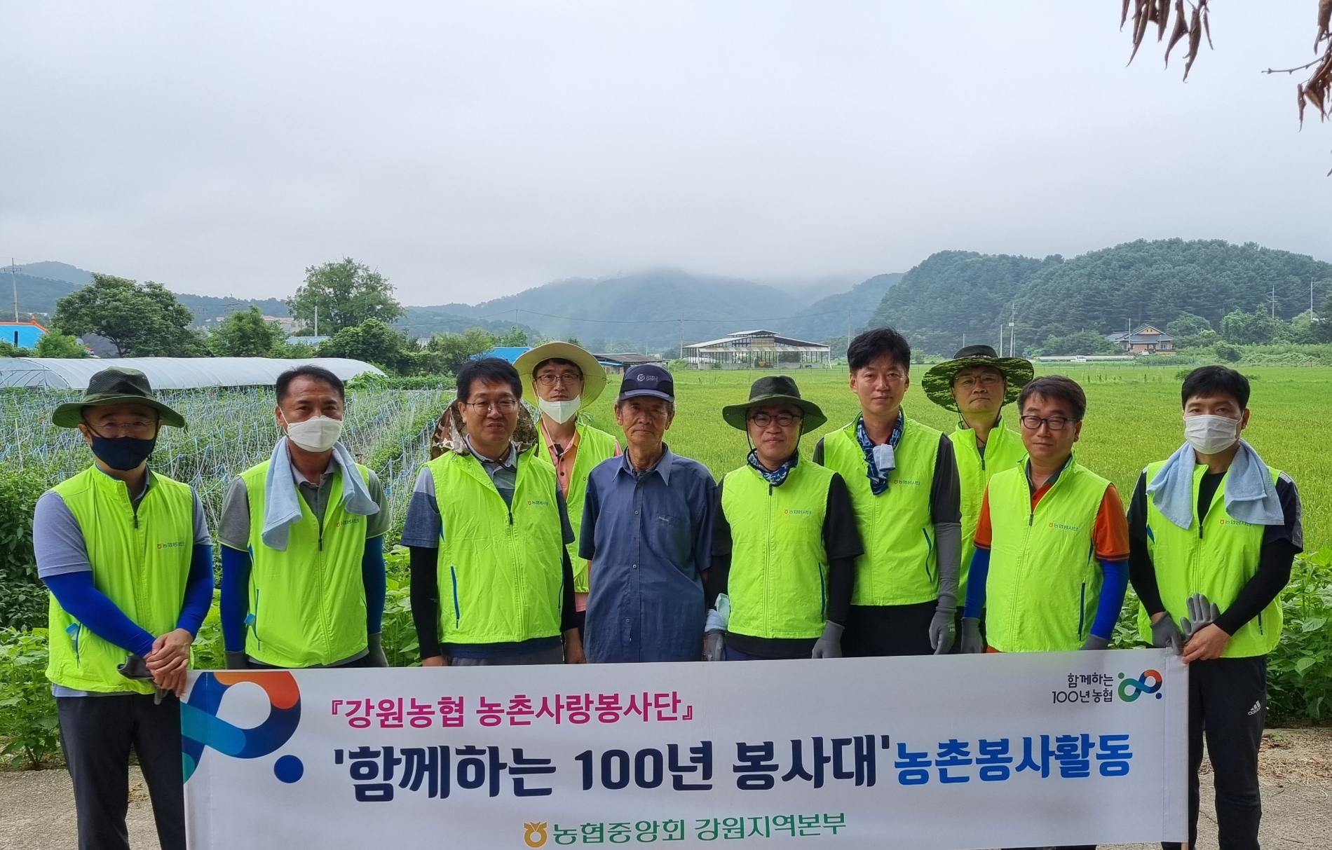 강원농협, 함께하는 100년 봉사대 농촌일손돕기' 실시
