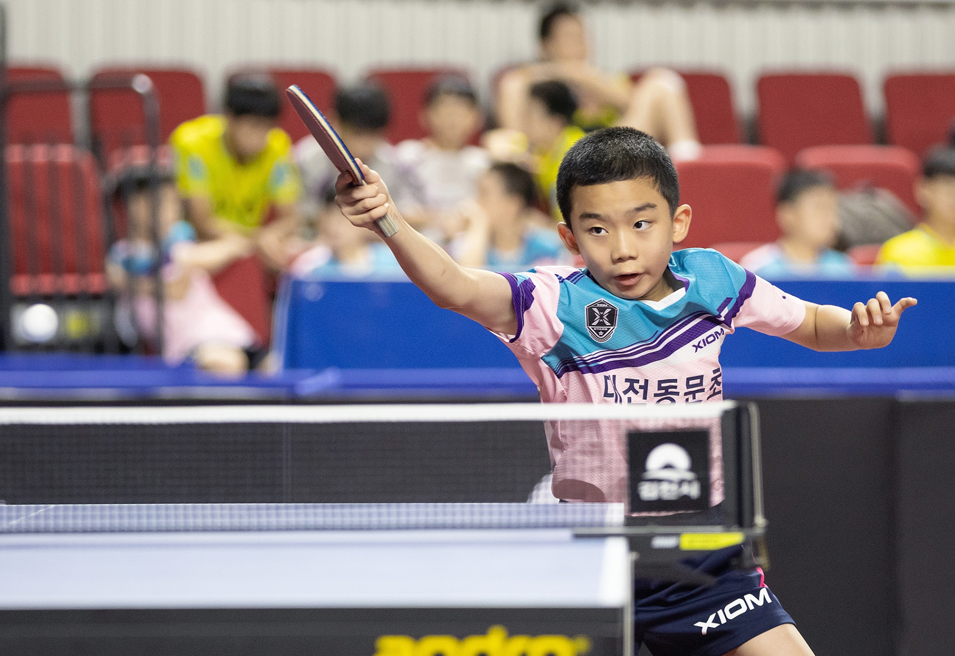 '2022 교보생명컵 꿈나무체육대회' 탁구 부문 이승수 선수가 스메싱을 날리고 있다./사진제공