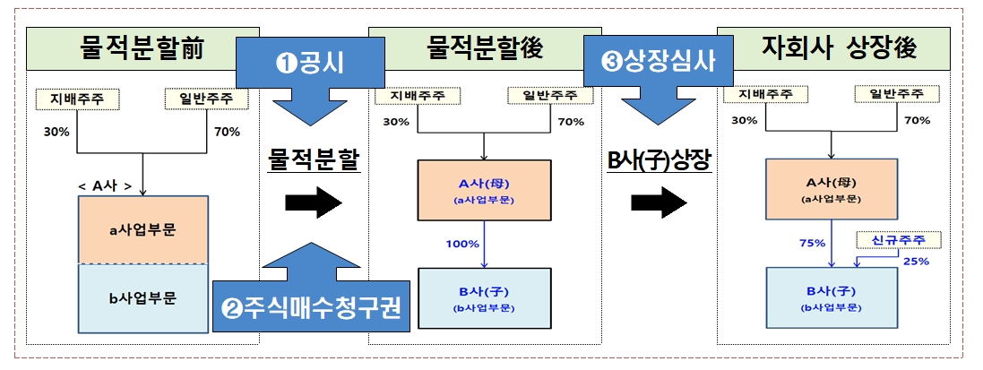 자료출처= 금융위원회 등 '물적분할 자회사 상장 관련 일반주주 권익 제고방안' 중 갈무리(2022.09.04)
