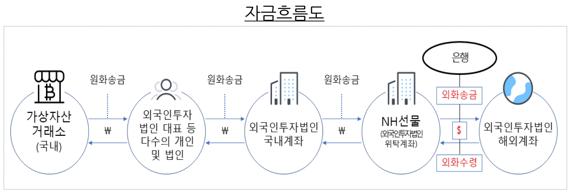 금융감독원에서 확인한 외국인투자법인의 이상 외화송금 자금 흐름도. /자료제공=금융감독원