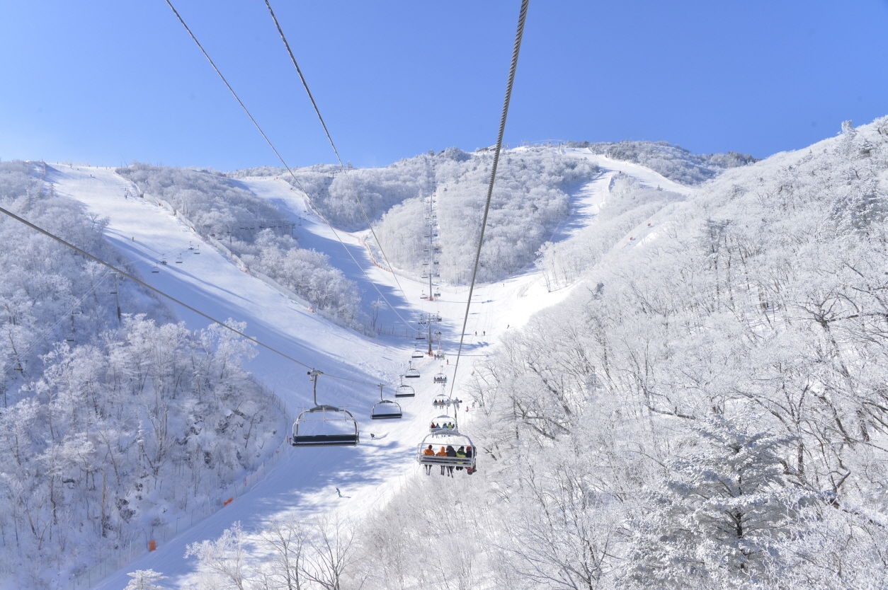 부영그룹 무주덕유산리조트 스키장 전경./사진제공=부영그룹